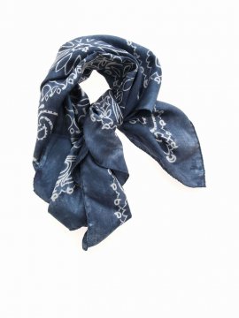 Paisley Foulard In Fantasia